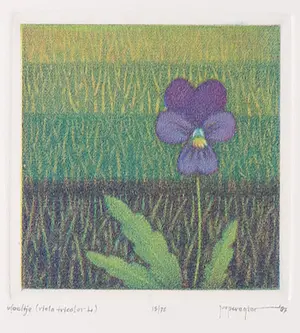Joop Vegter - Mezzotint, Viooltje kaufen? Bieten Sie von 50!