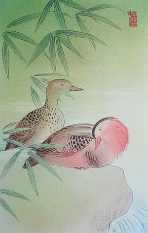 Niet of onleesbaar gesigneerd - Chinese school - Eenden, zeefdruk of ingekleurde litho kopen? Bied vanaf 1!