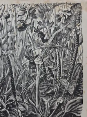 Dirk van Gelder - In memoriam. Natuur. Salamander. kopen? Bied vanaf 49!