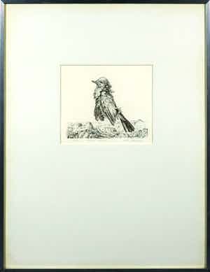Dick Stolwijk - Ets, Staand vogeltje - Ingelijst verkocht voor € 35!