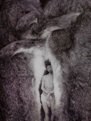 Marc Mulders - Titel: Ark kopen? Bied vanaf 150!