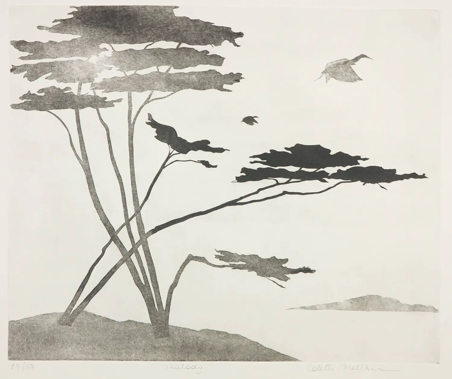 Colette Meltzer-Haesaerts