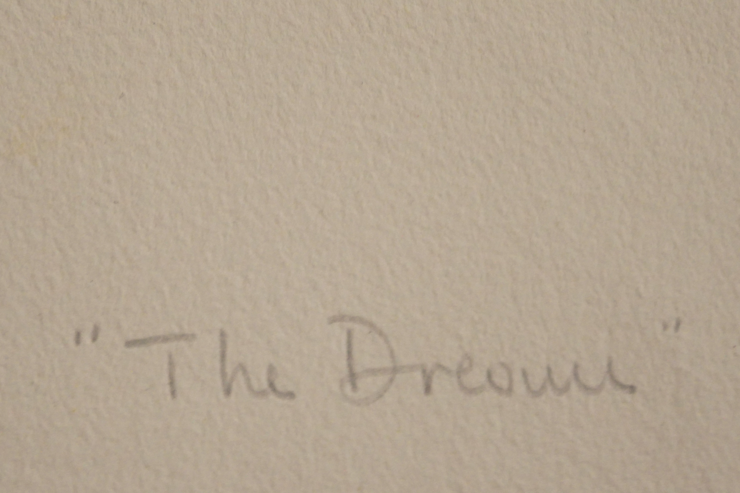 Niet of onleesbaar gesigneerd - The Dream - New York kopen? Bied vanaf 1!