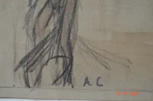 Albert Ciamberlani - diverse titels. kopen? Bied vanaf 75!