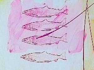 Milou Hermus - kleurrijke litho 'ode aan de Grutto' kopen? Bied vanaf 75!