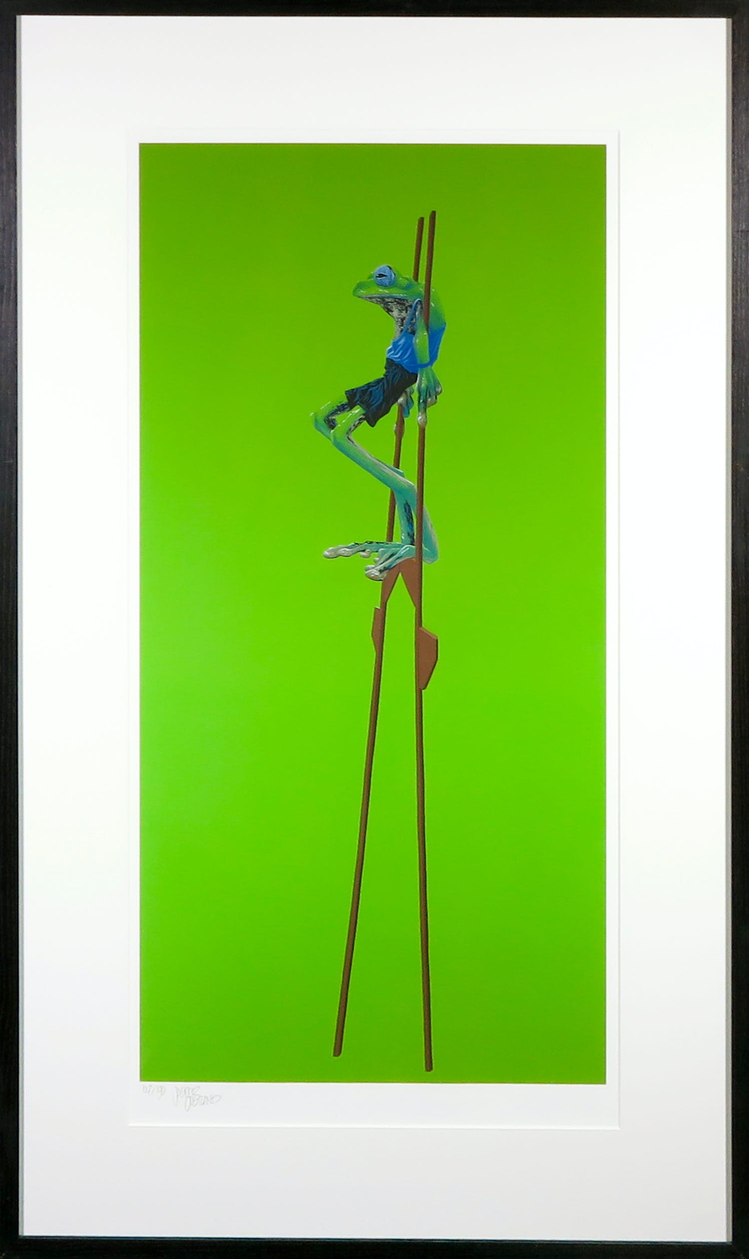 Jasper Oostland - Giclee, Rhacophorus nigropalmatus - Ingelijst (Groot) kopen? Bied vanaf 35!