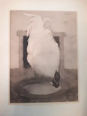 Jan Mankes - Wyandotte haan kopen? Bied vanaf 1!