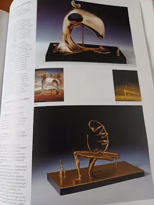 Salvador Dali - Le dur et le mou kopen? Bied vanaf 150!