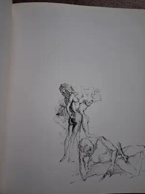 Salvador Dali - Carnets érotique kopen? Bied vanaf 40!