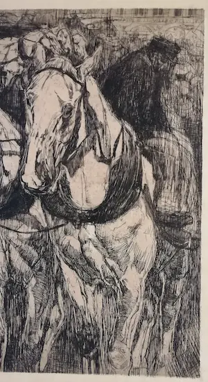 Pieter Dupont - Omnibuspaarden kopen? Bied vanaf 150!