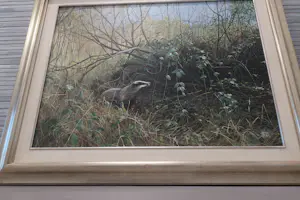 Pieter Verstappen - Das in de natuur kopen? Bied vanaf 400!