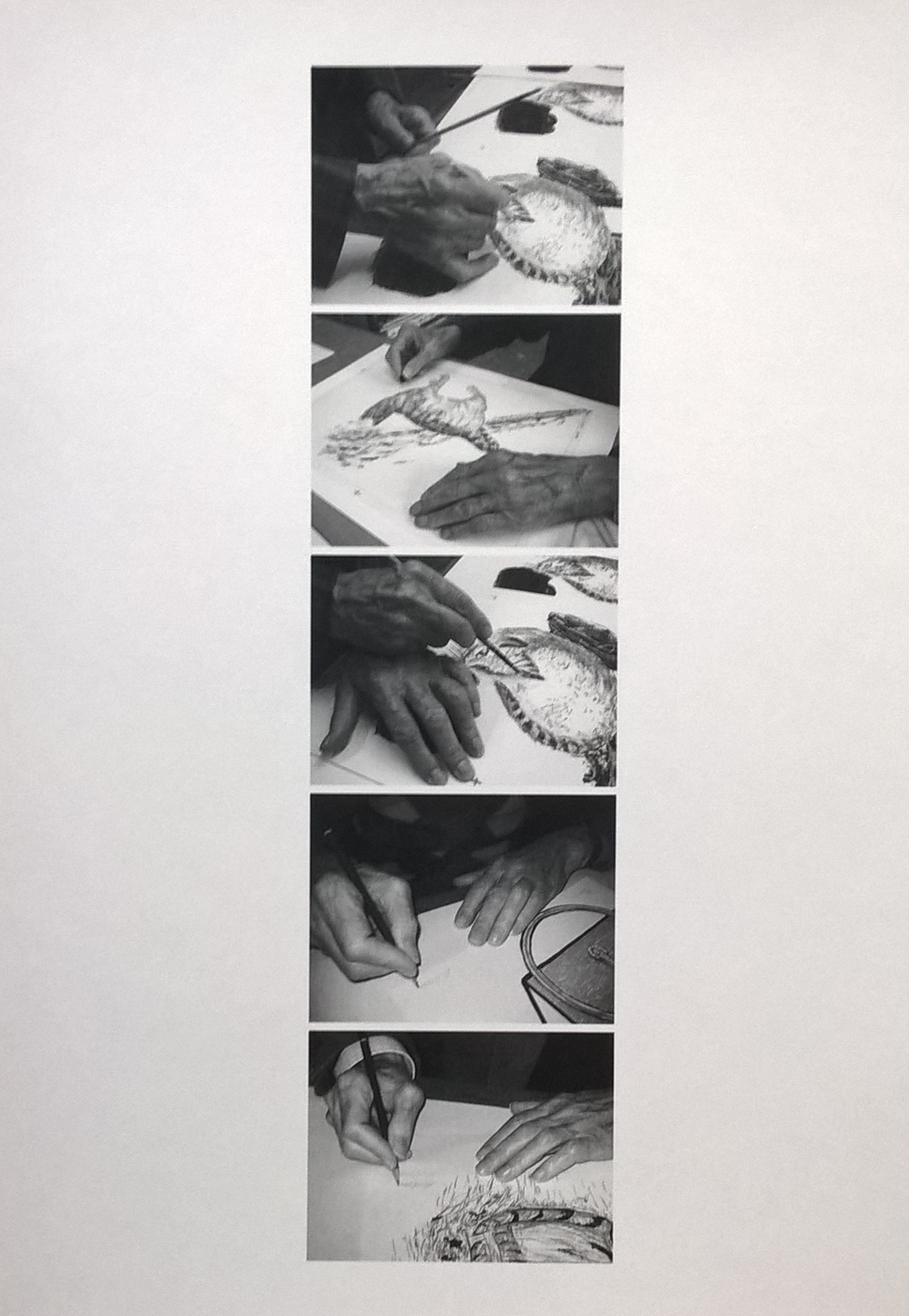 Roger Raveel - felix vulgaris – 6 zeefdrukken kopen? Bied vanaf 2175!