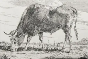 Pieter Gerardus Van Os - Grazende koe bij een rivier kopen? Bied vanaf 65!