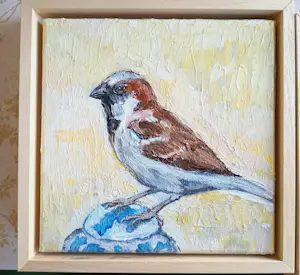 Tanja Koelemij - Musje 2 kopen? Bied vanaf 60!