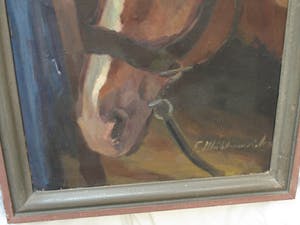 Niet of onleesbaar gesigneerd - Olieverf op doek , “Portret Paard” – gesigneerd & ingelijst kopen? Bied vanaf 10!