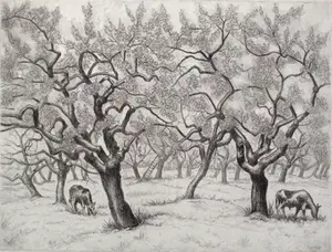 Dick van Luijn - Etsen (3x) - Natuur kopen? Bied vanaf 40!