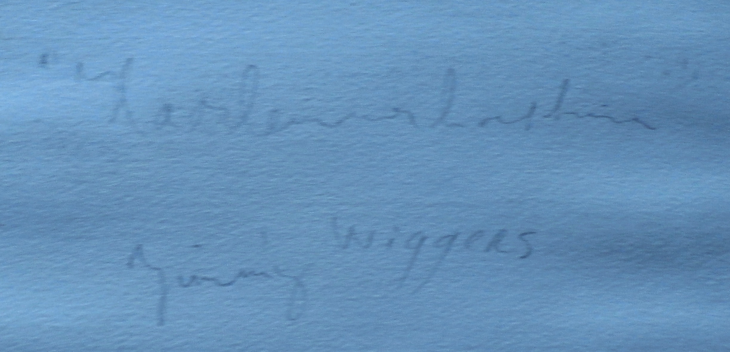 Niet of onleesbaar gesigneerd - Jimmy Wiggers - ets: Haarlemmer... kopen? Bied vanaf 1!
