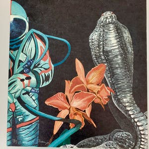 Paul Van Hoeydonck - Cobra in space kopen? Bied vanaf 110!