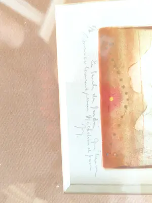 René Carcan - Uiterst zeldzame oplage 1/2 - René Carcan - "De wilg in de tuin" (1990) kopen? Bied vanaf 380!