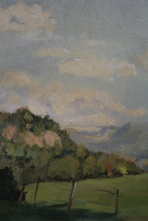Wilhelmus L. Wijmans - olieverf op doek - berglandschap kopen? Bied vanaf 39!