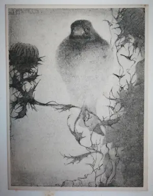 Jan Mankes - Heliogravure. Vogel. kopen? Bied vanaf 1!