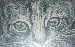 Wim Heemels - gesigneerde ets : Kat en dode mus kopen? Bied vanaf 45!