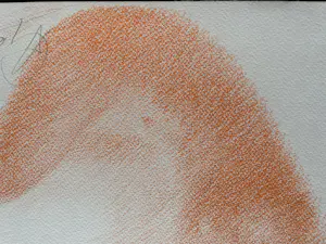 Anton Geerlings - Leda en de zwaan kopen? Bied vanaf 60!