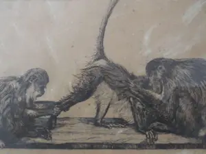 Dirk Homberg - 2x Langoeren Java en Oud Batavia kopen? Bied vanaf 250!