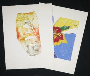 Bert van Santen - Ets, Heel die lentenacht (...) + Francine de Kriek - Zeefdruk, Bloem (LOT) kopen? Bied vanaf 1!