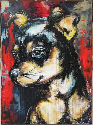 Daniel Maltzman - Acryl op doek, Dog portrait kopen? Bied vanaf 1!