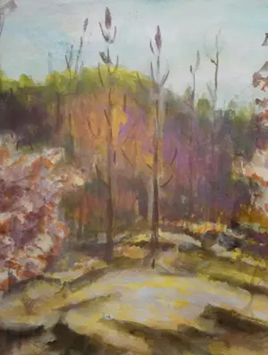 Jan Altink - Heidelandschap te Groningen kopen? Bied vanaf 1000!