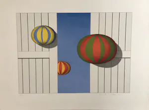 Marinus Fuit - Ballonnen kaufen? Bieten Sie von 100!