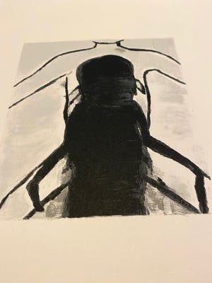 Luc Tuymans - Superstition kopen? Bied vanaf 1100!