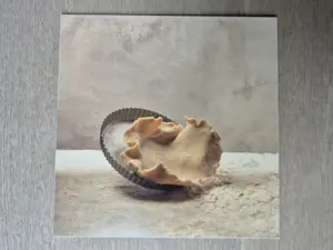 Marie Cecile Thijs - Pie Crust, Print op dibond, gesigneerd verso 21/100 kopen? Bied vanaf 795!