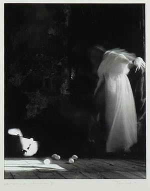 Tusa Koch - Silverprint, Domaine de Chabonier - Ingelijst kopen? Bied vanaf 10!