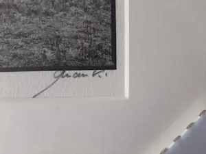 Ralph Janowski - 3 werken, van Ralph Janowski, Boom in de ochtend mist nieuw ingelijst kopen? Bied vanaf 100!