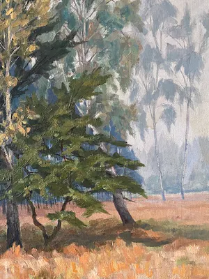 Jan van Campenhout - Sous-Bois en automne kopen? Bied vanaf 65!