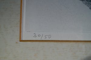 Ella van Schaik - twee poezen in een mandje kopen? Bied vanaf 10!