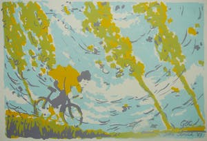 Joke Struik - Tegenwind -zeefdruk in drie kleuren 1987- kopen? Bied vanaf 25!