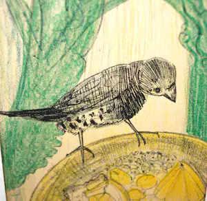 Leo Visser - Vogels - kleurenlitho uit ca. 1928 kopen? Bied vanaf 35!