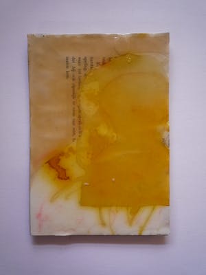 Irene van den Bos - Ocre Head kopen? Bied vanaf 12!