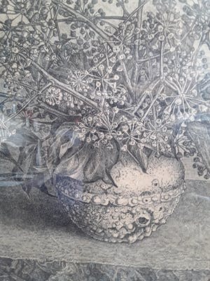 Jakob Nieweg - Hand en druk gesigneerd kopen? Bied vanaf 40!