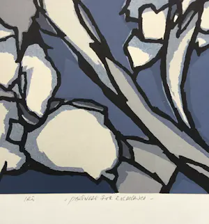 Fon Klement - boardsnede ‘Iris’ - 1991 - oplage 75 kopen? Bied vanaf 125!