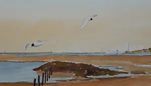 Franklin Meijer - Haven West-Terschelling kopen? Bied vanaf 69!