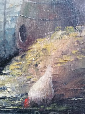 Pros Colpaert - 'Kippen op de boerderij' kopen? Bied vanaf 195!