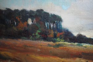 Isaac Naarden - landschap, olieverf - omgeving 't Gooi kopen? Bied vanaf 65!