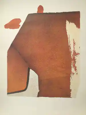Gerard Leonard van den Eerenbeemt - Het kostuum van de dichter - zeefdruk 63/190 - 79,5 x 62,5 verkauft für € 45!