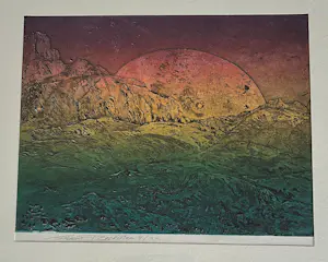 Frans Roetman - 2 x --- Planeet en Vogel kopen? Bied vanaf 35!