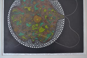 Harry van Kruiningen - Ets, eerst vrijkomende cel uit een zygote. kopen? Bied vanaf 50!