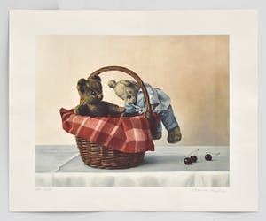 Marina Radius - Beren in een mandje kopen? Bied vanaf 1!